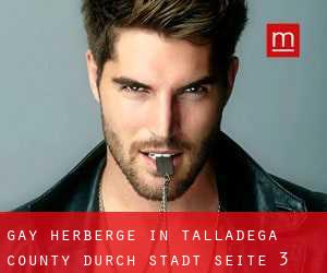 Gay Herberge in Talladega County durch stadt - Seite 3