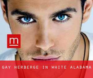 Gay Herberge in White (Alabama)