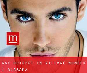 gay Hotspot in Village Number 1 (Alabama)