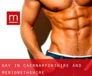 gay in Caernarfonshire and Merionethshire