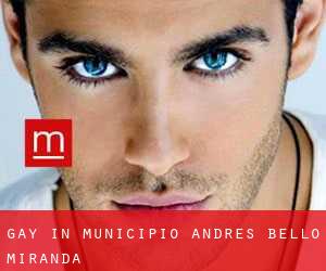 gay in Municipio Andrés Bello (Miranda)