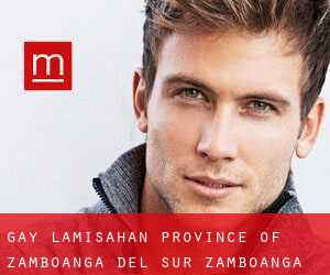 gay Lamisahan (Province of Zamboanga del Sur, Zamboanga Peninsula)