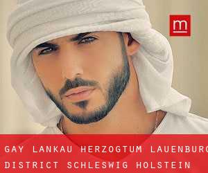 gay Lankau (Herzogtum Lauenburg District, Schleswig-Holstein)