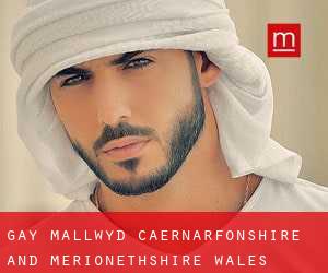 gay Mallwyd (Caernarfonshire and Merionethshire, Wales)