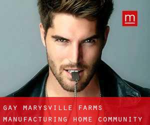 gay Marysville Farms Manufacturing Home Community (Saint Clair County, Michigan)