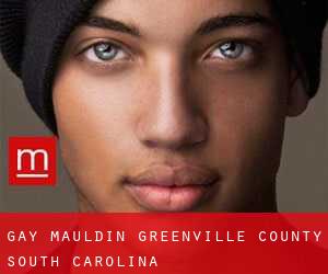 gay Mauldin (Greenville County, South Carolina)