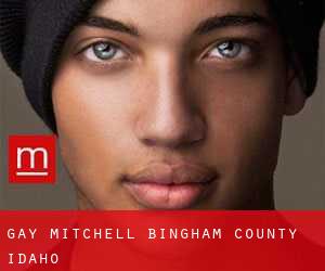 gay Mitchell (Bingham County, Idaho)