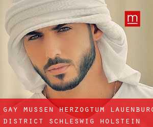 gay Müssen (Herzogtum Lauenburg District, Schleswig-Holstein)