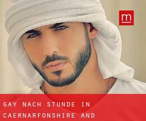 gay Nach-Stunde in Caernarfonshire and Merionethshire