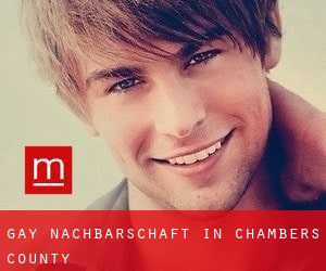 gay Nachbarschaft in Chambers County