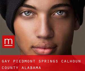 gay Piedmont Springs (Calhoun County, Alabama)