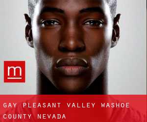gay Pleasant Valley (Washoe County, Nevada)