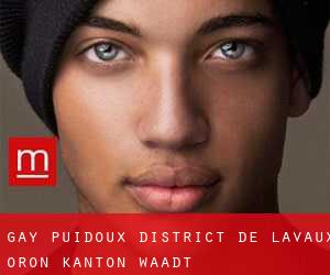 gay Puidoux (District de Lavaux-Oron, Kanton Waadt)