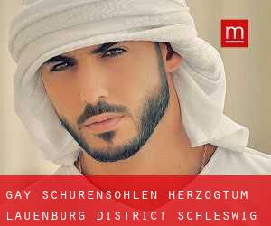 gay Schürensöhlen (Herzogtum Lauenburg District, Schleswig-Holstein)