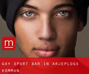 gay Sport Bar in Arjeplogs Kommun