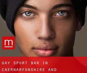 gay Sport Bar in Caernarfonshire and Merionethshire