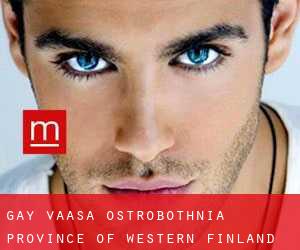 gay Vaasa (Ostrobothnia, Province of Western Finland)