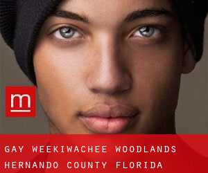 gay Weekiwachee Woodlands (Hernando County, Florida)