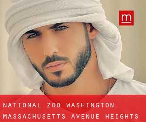 National Zoo Washington (Massachusetts Avenue Heights)