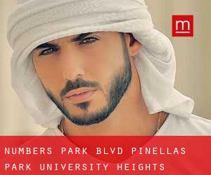 Numbers Park Blvd. Pinellas Park (University Heights)