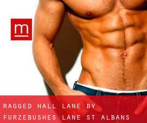 Ragged Hall Lane by Furzebushes Lane (St Albans)