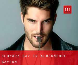Schwarz gay in Alberndorf (Bayern)