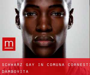Schwarz gay in Comuna Corneşti (Dâmboviţa)