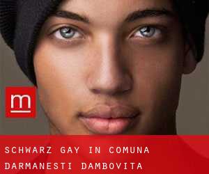 Schwarz gay in Comuna Dărmăneşti (Dâmboviţa)
