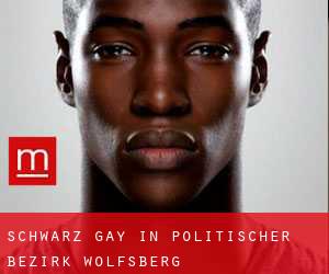 Schwarz gay in Politischer Bezirk Wolfsberg