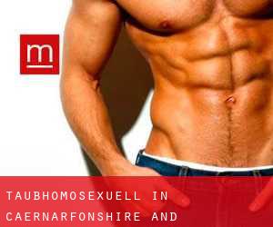 Taubhomosexuell in Caernarfonshire and Merionethshire Taubhomosexuell in Caernarfonshire and Merionethshire