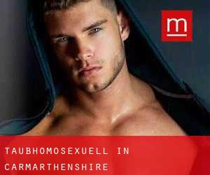 Taubhomosexuell in Carmarthenshire