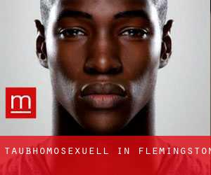 Taubhomosexuell in Flemingston