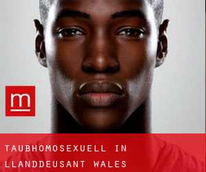 Taubhomosexuell in Llanddeusant (Wales)