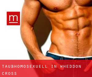 Taubhomosexuell in Wheddon Cross